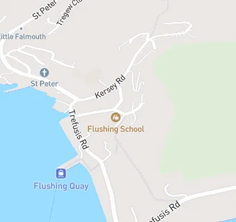 map for Flushing School