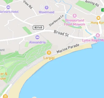 map for Toms Lyme Regis