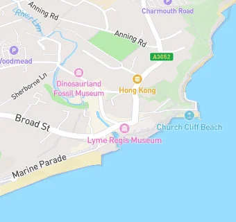 map for The Lyme Bay Cafe and Bar