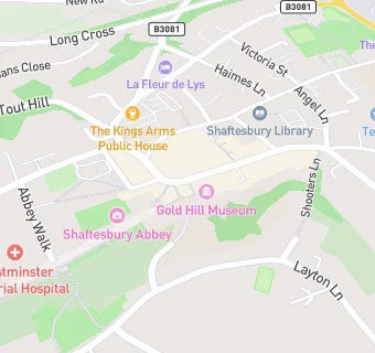 map for Shaftesbury Town Hall