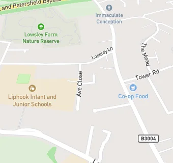 map for Liphook Junior School