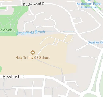 map for Holy Trinity CofE Secondary School, Crawley