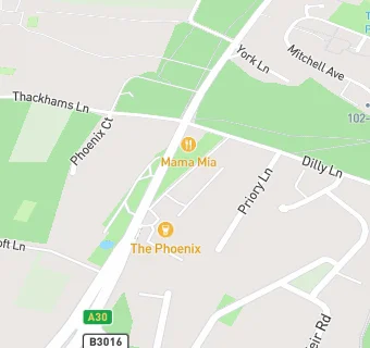 map for The Phoenix Inn