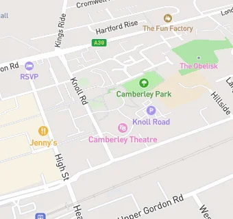 map for Surrey Choices, Ian Goodchild Centre