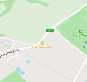 map for The Curious Cat