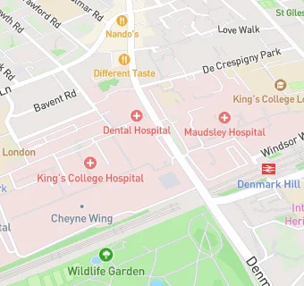 map for Kings College Hospital