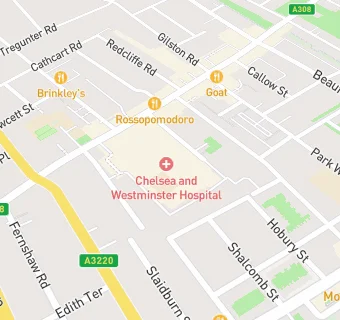 map for Chelsea  Community Hospital  School