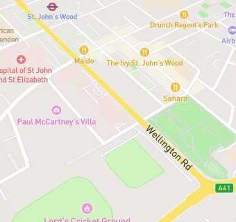map for The Wellington Hospital