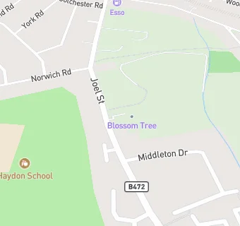 map for Blossom Tree Montessori Ltd