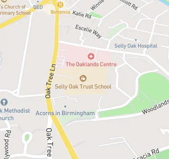 map for Selly Oak Trust School