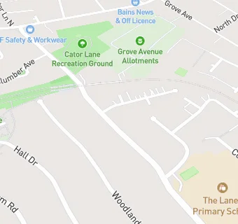 map for The Lanes Primary School (Cator Lane)