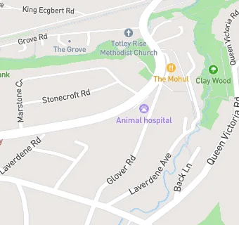 map for Totley Rise Dental Practice