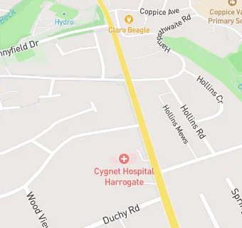 map for Cygnet Hospital