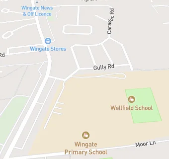 map for Wellfield School