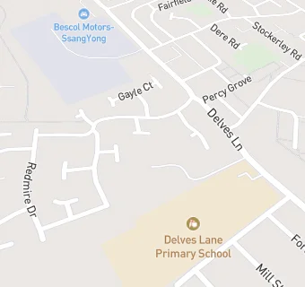 map for Delves Lane Primary School