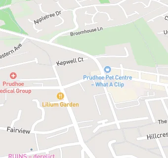 map for Prudhoe Dental Practice