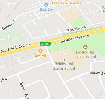 map for Biddick Hall Junior School