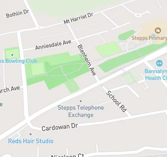 map for Stepps Pharmacy